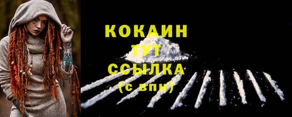 дмт Россошь