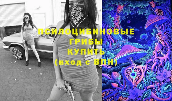 крисы Рославль