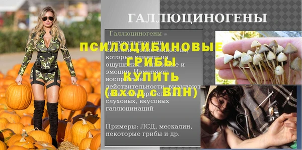 дмт Россошь