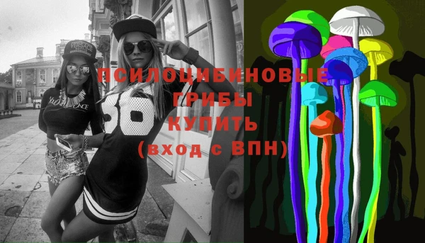 дмт Россошь