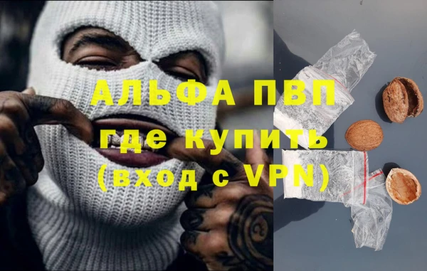 сатива Ростов