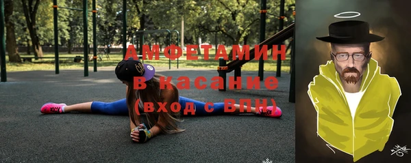 сатива Ростов