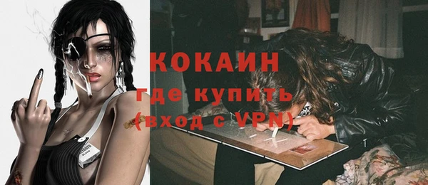 сатива Ростов